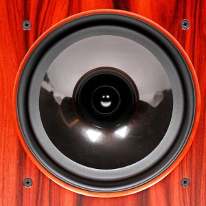 Harbeth Monitor 30.1 Woofer