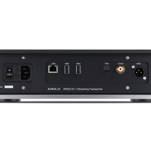 AURALIC ARIES G1.1 - Connectique