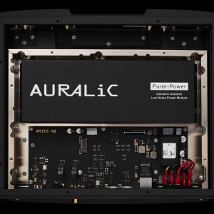 AURALIC ARIES G2.2 - Circuits