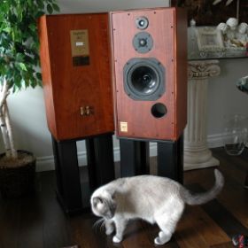 mini SUPER HL-5 ROSEWOOD avec chat